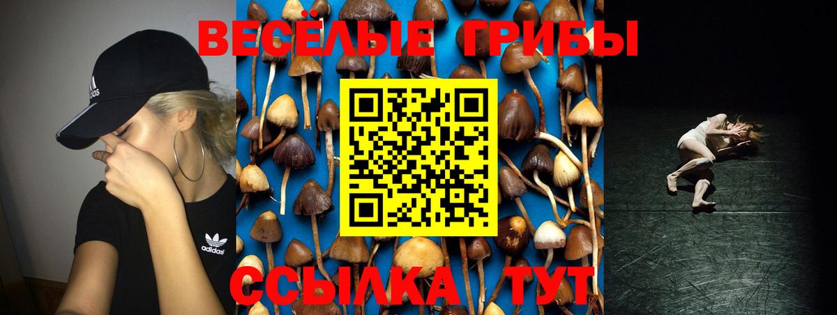 Галлюциногенные грибы MAGIC MUSHROOMS  Вход с VPN  Галлюциногенные грибы Cubensis  Янаул 